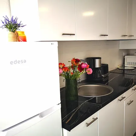 Apartment Dinamarca With 2 Bedrooms, 50 Mts From The *